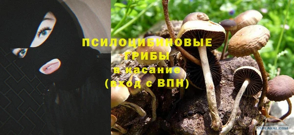 гидропоника Алексеевка